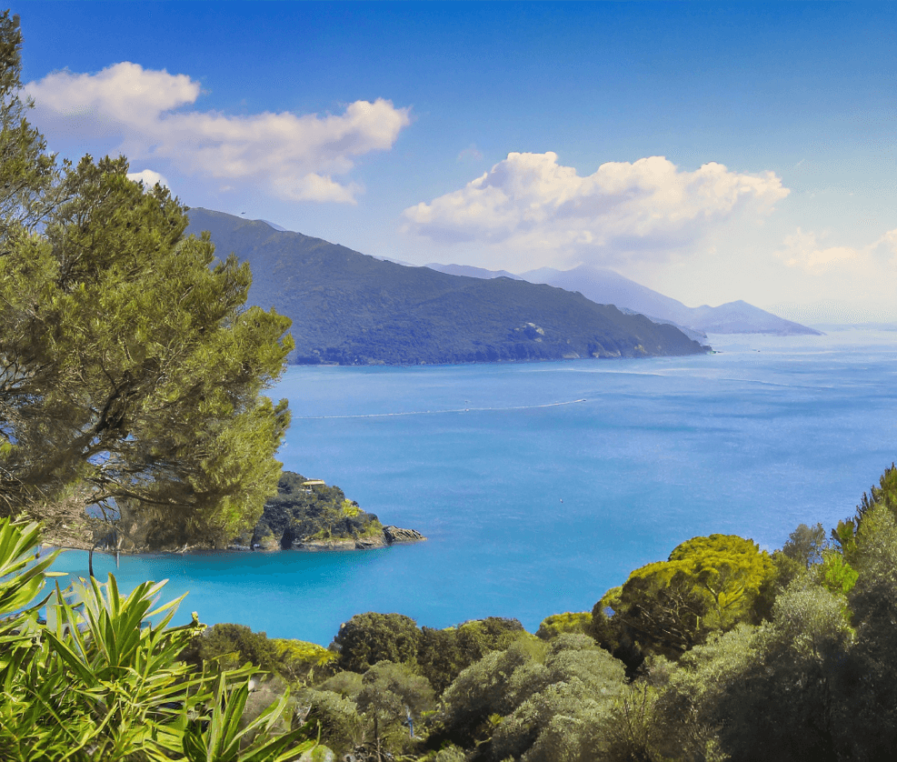 herd of goats meditarranean landscape goat farming